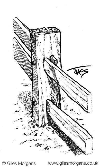 image03