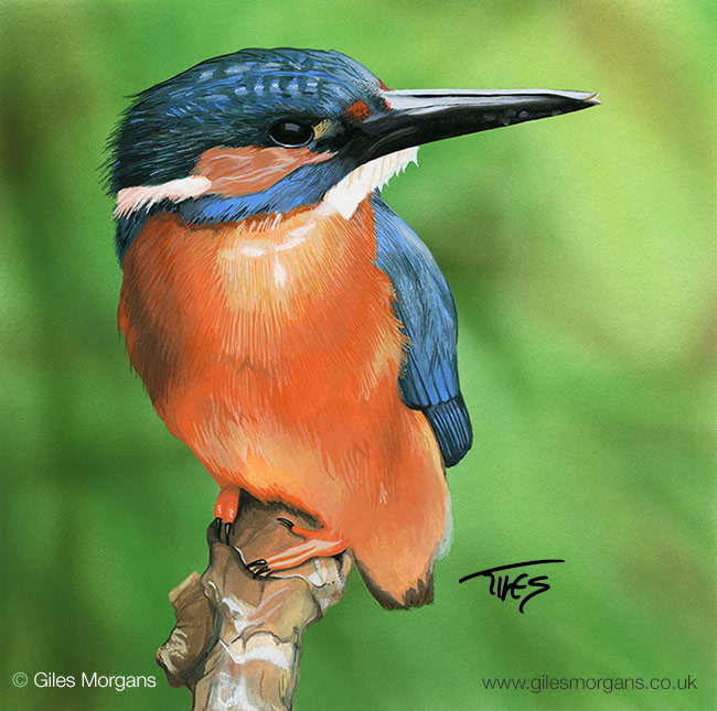 image05